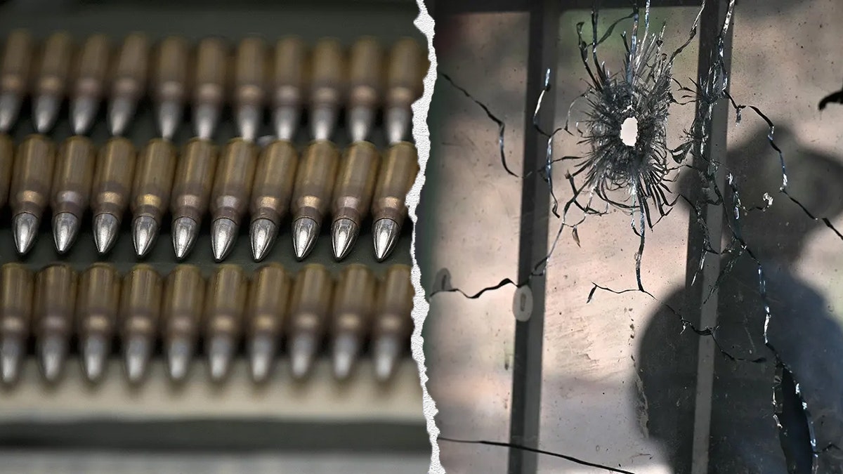 Nevada Man Admits to Arms Trafficking and Employment Violations
