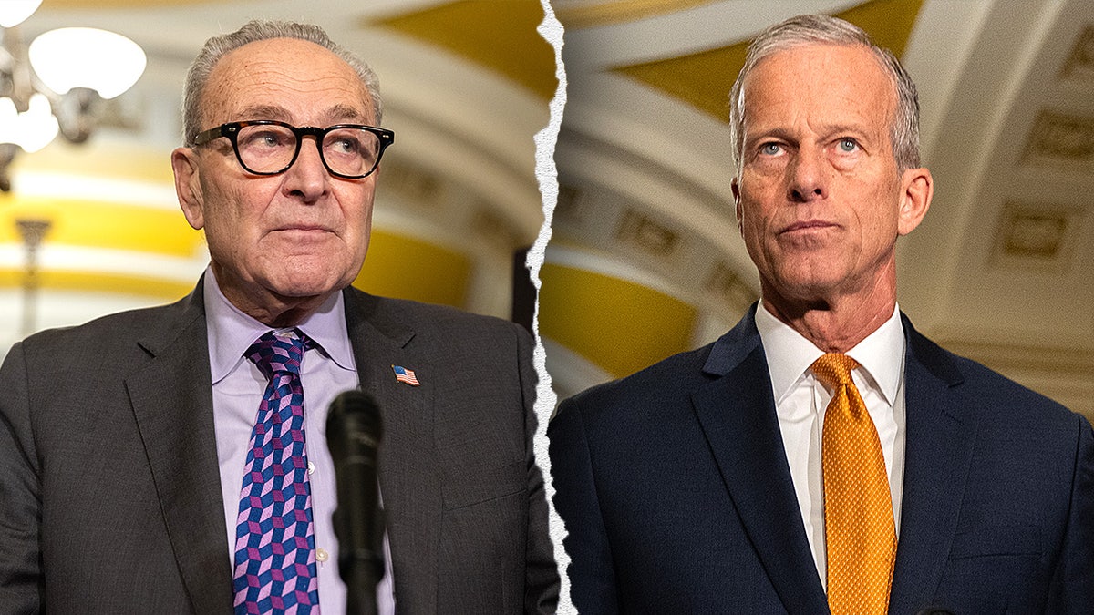 Senate Republicans Push to Prevent Government Shutdown