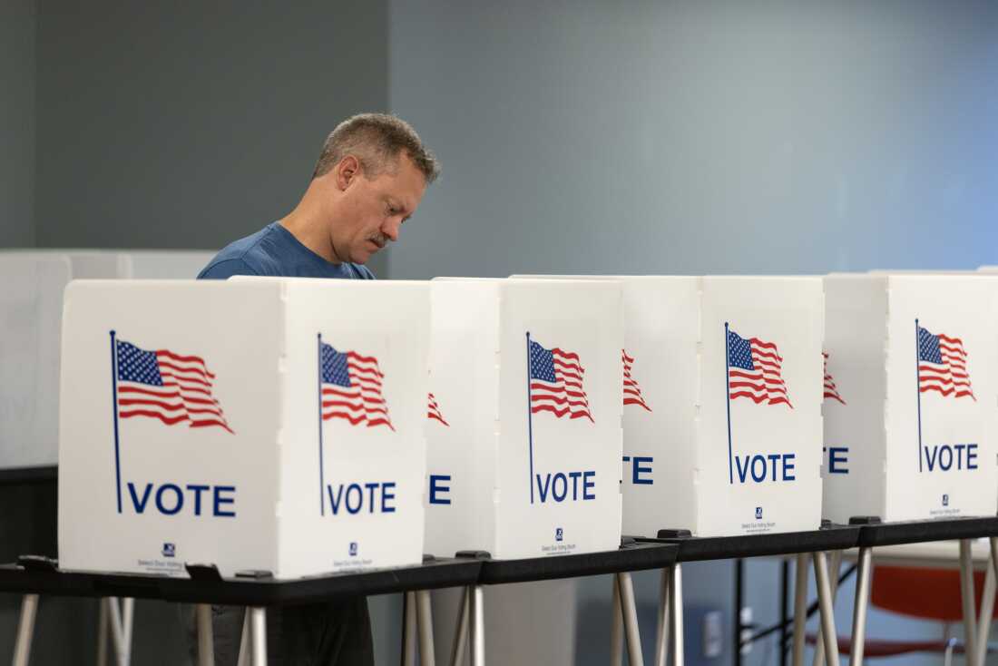 Primary Election Highlights: Trump Endorsements, Progressive Wins, and Calls for Change