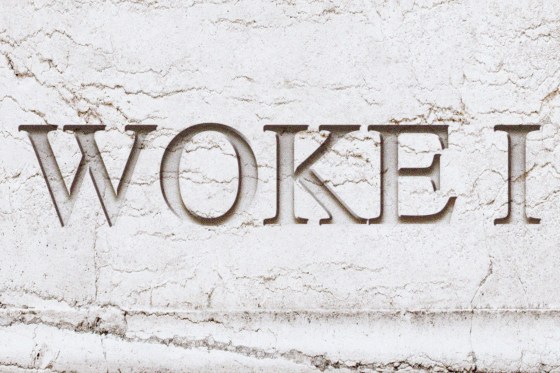 Debate Among Democrats on the Legacy of ‘Woke 1’ Era