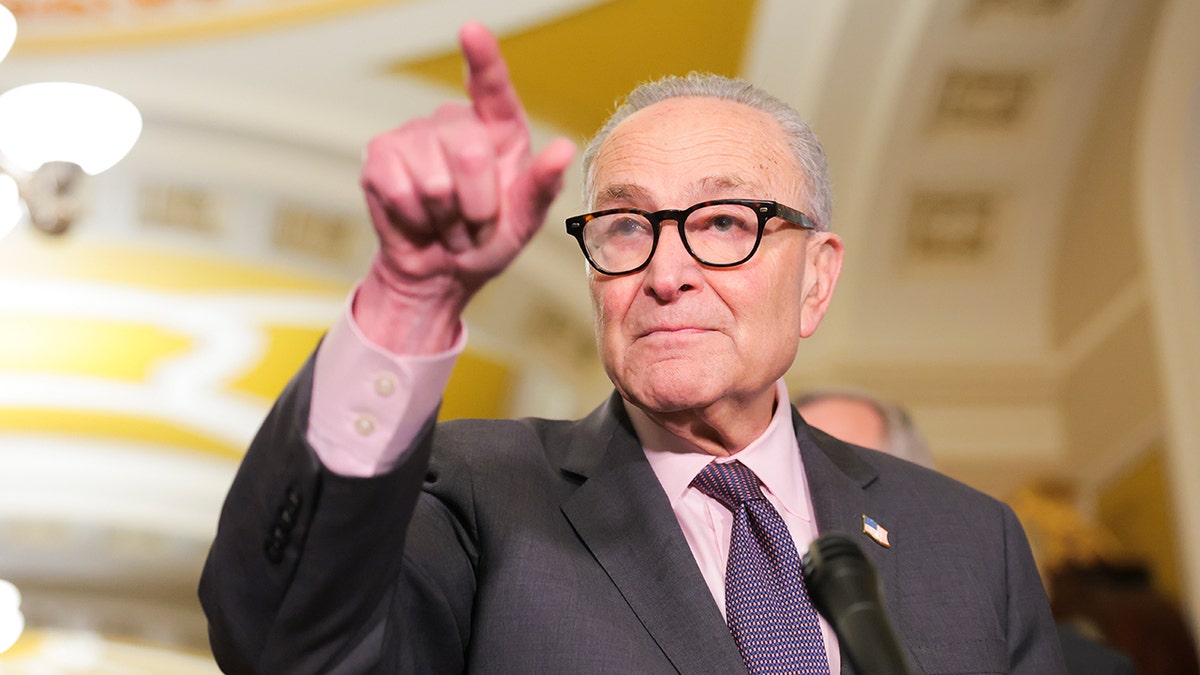 Senate Democrats Block Voter ID Amendment Despite Past Support