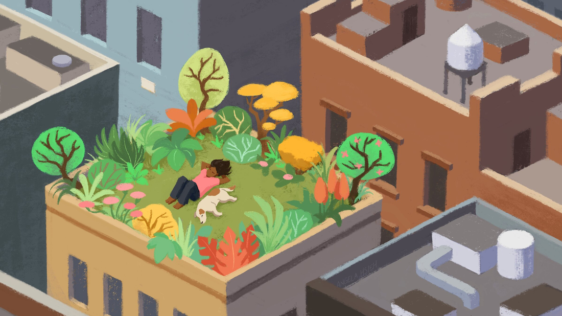 Small Steps to Reconnecting with Nature for Better Health
