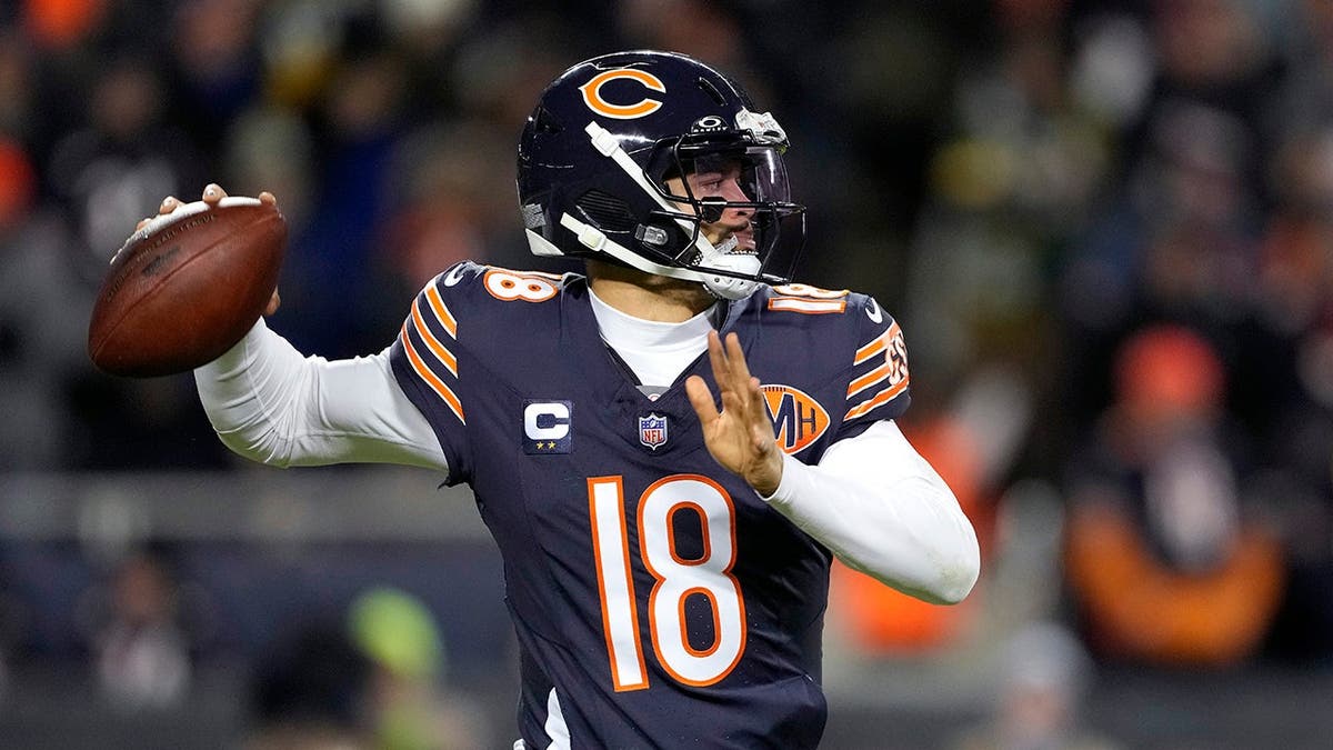 Chicago Bears: Season Review and Future Prospects