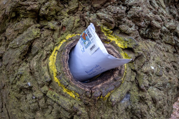 A Century of Love Letters at the Bridegroom’s Oak in Germany
