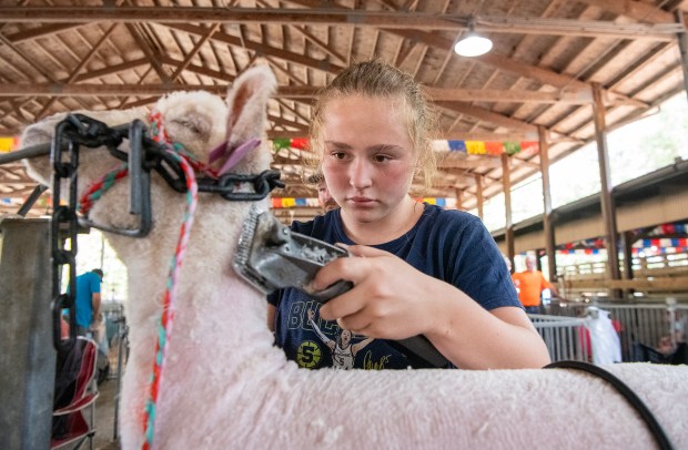 Lake County Fair Provides Fun and Tradition