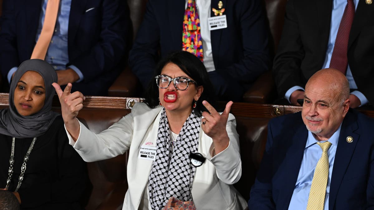 Restructuring the Democratic Party’s Left Wing
