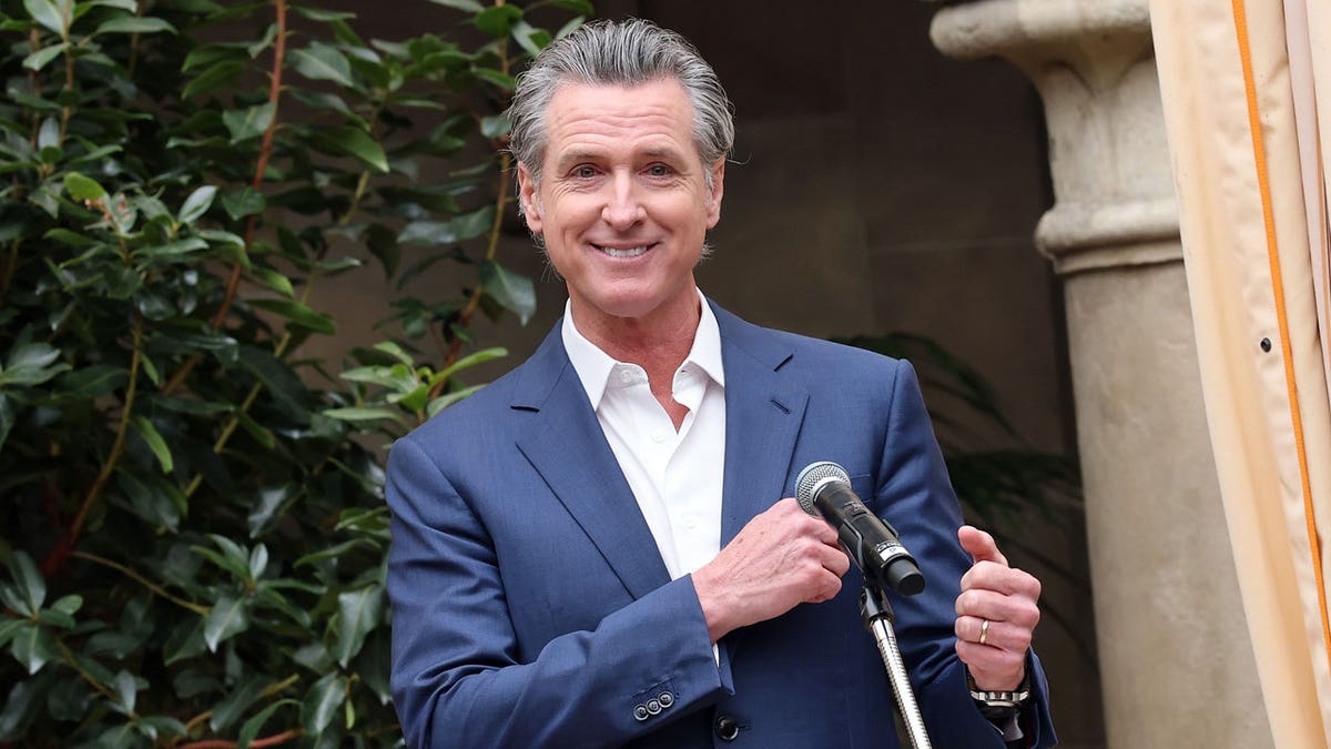 Gov. Gavin Newsom’s Balancing Act Between Establishment and Insurgency