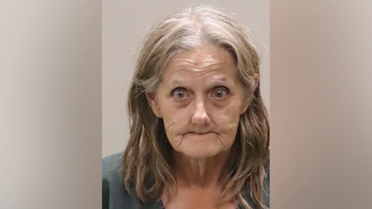 Florida Authorities Rescue Over 100 Animals from Hoarding House