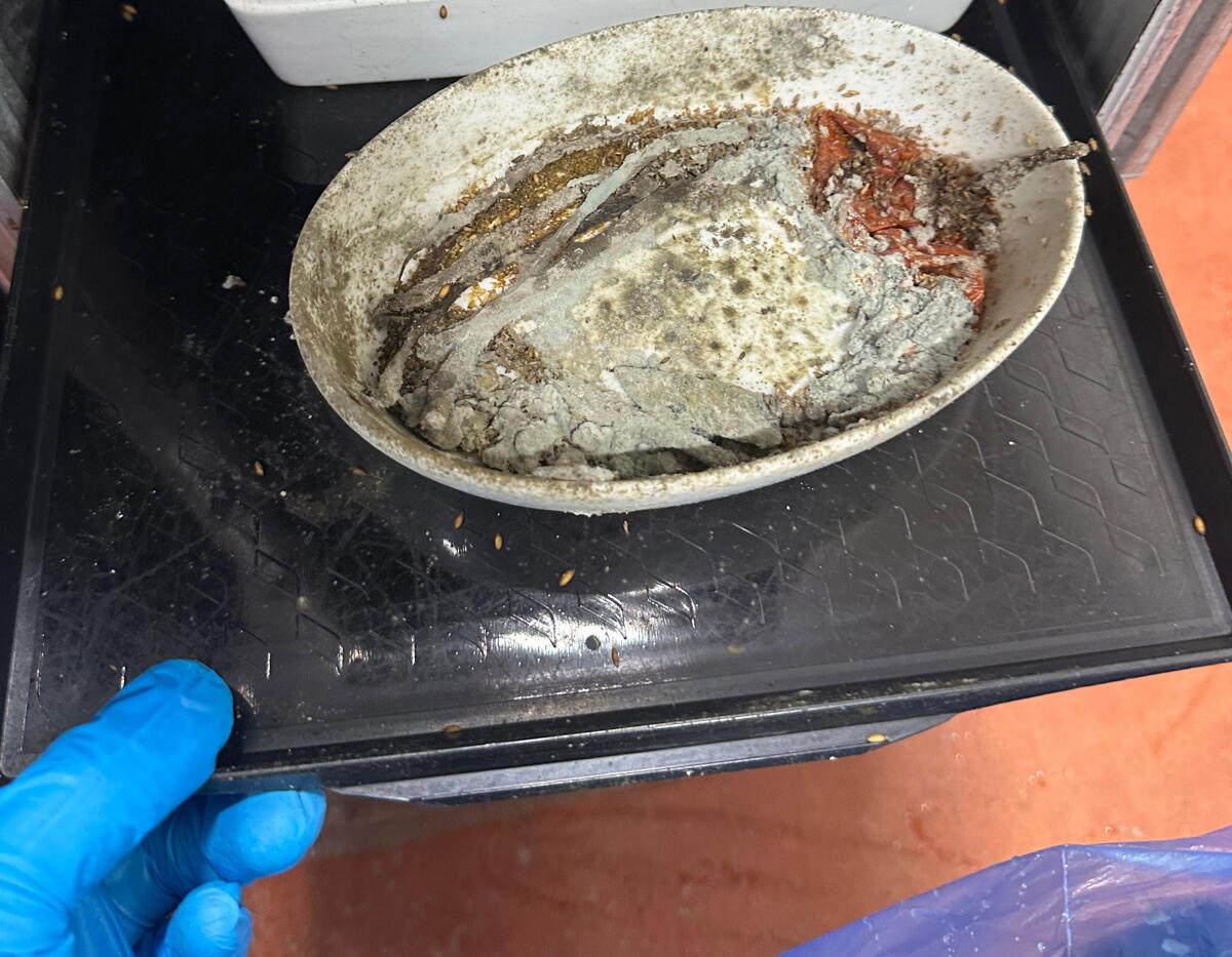 Unsafe Conditions and Labor Disputes at Flying Food Group Facility