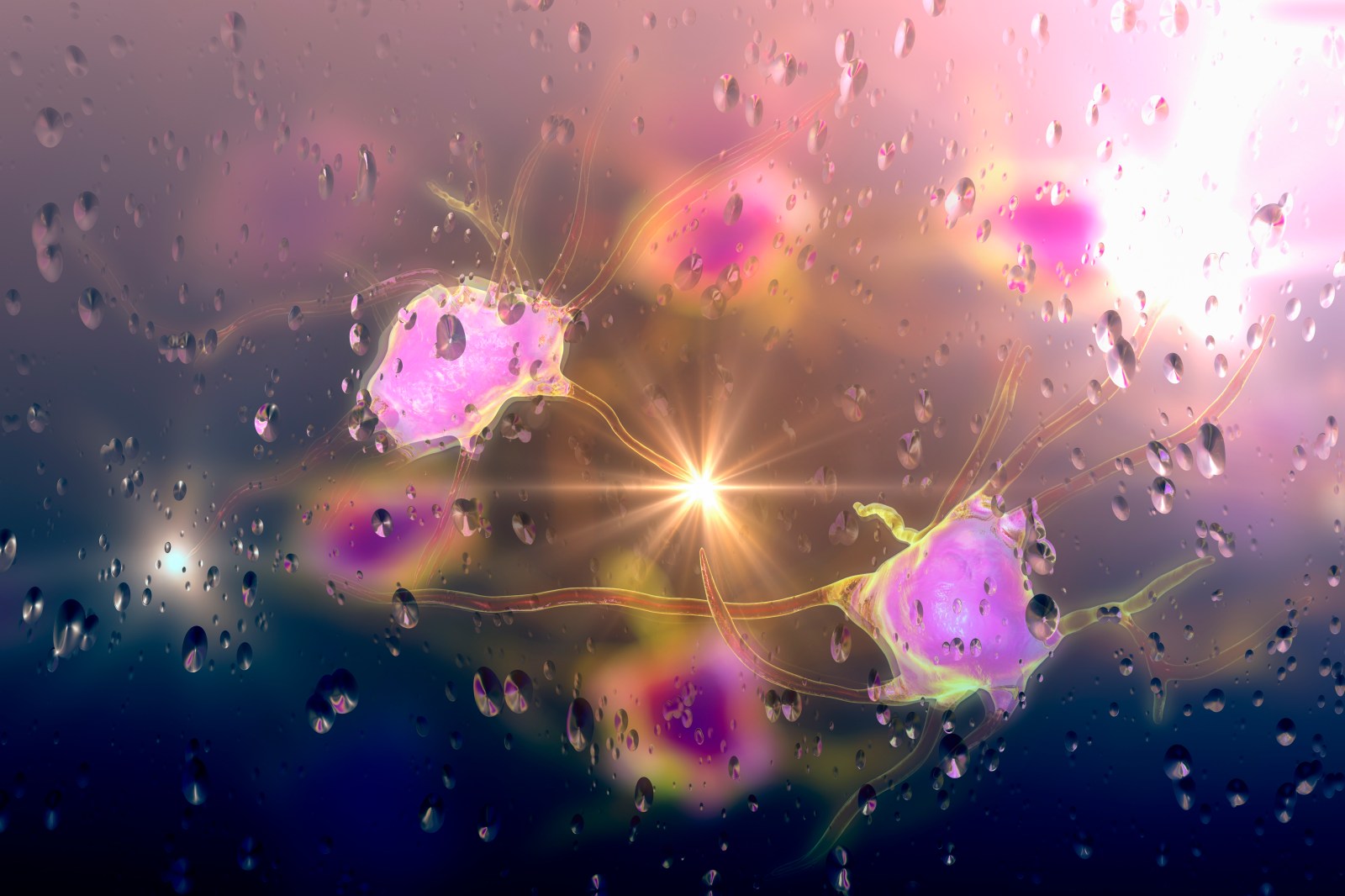 Study Reveals Changes in Brain’s Immune Cells at Age 50