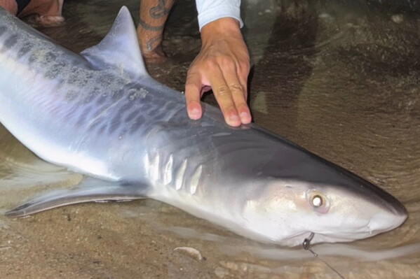 Federal Decision Prioritizes Hydropower Over Fish Conservation