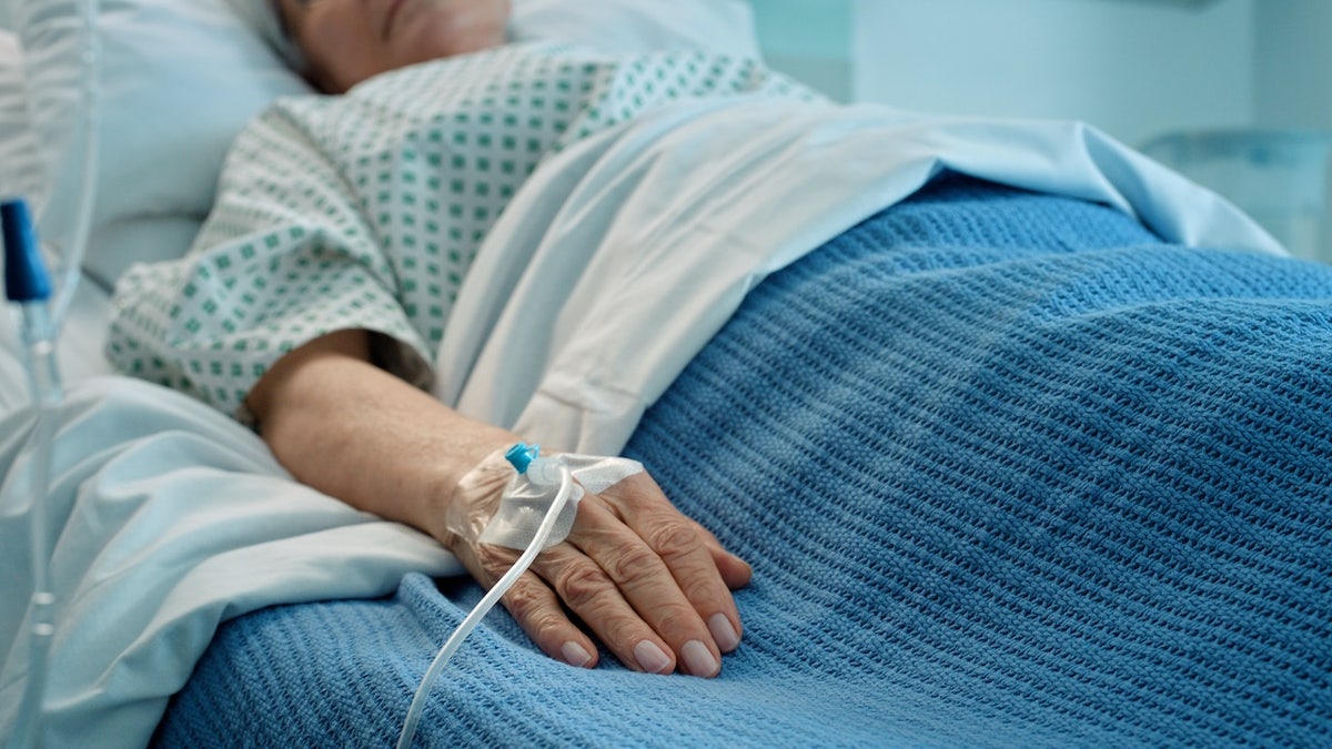 Surge in Drug-Resistant Candida Auris Cases in the U.S.