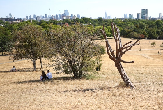 Drought and Heat Waves Transform London’s Parks