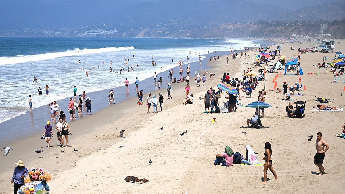 Beach Safety Alerts Amid Dangerous Surf Conditions