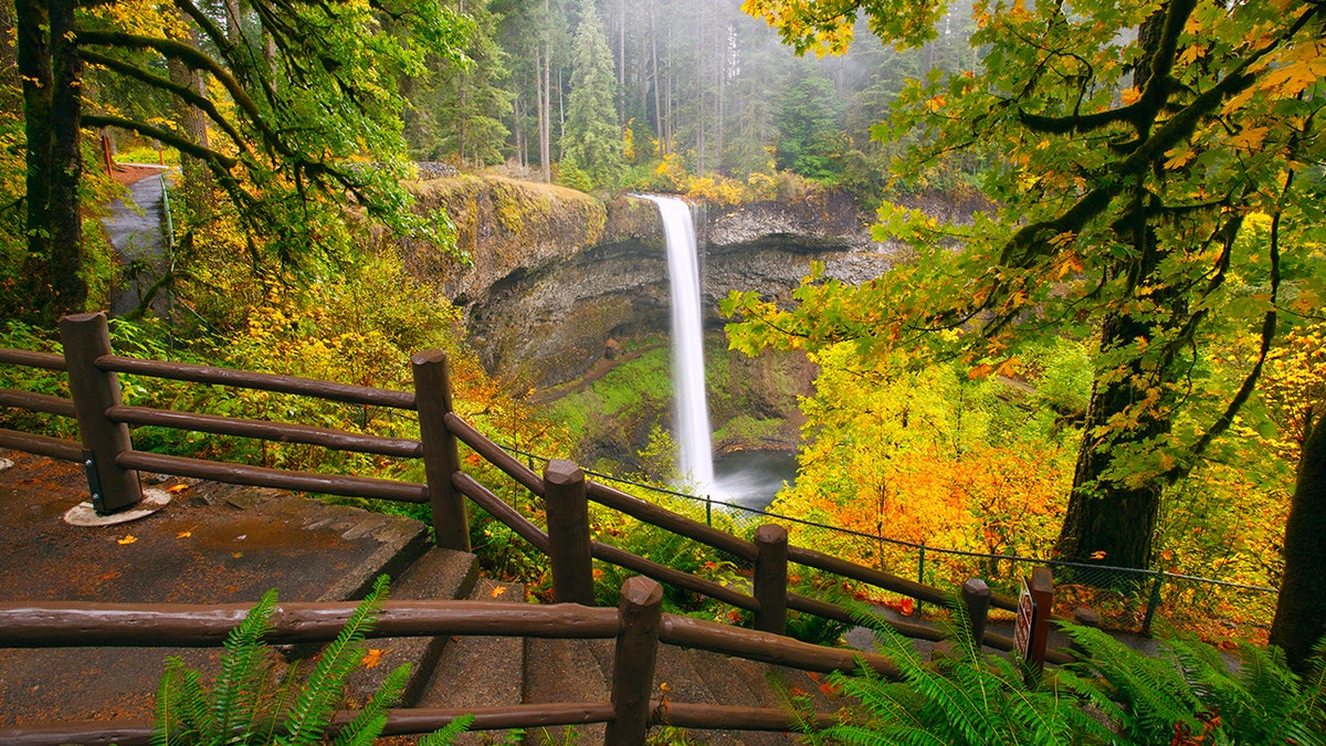 Hiker Dies in Fall at Oregon’s Silver Falls State Park