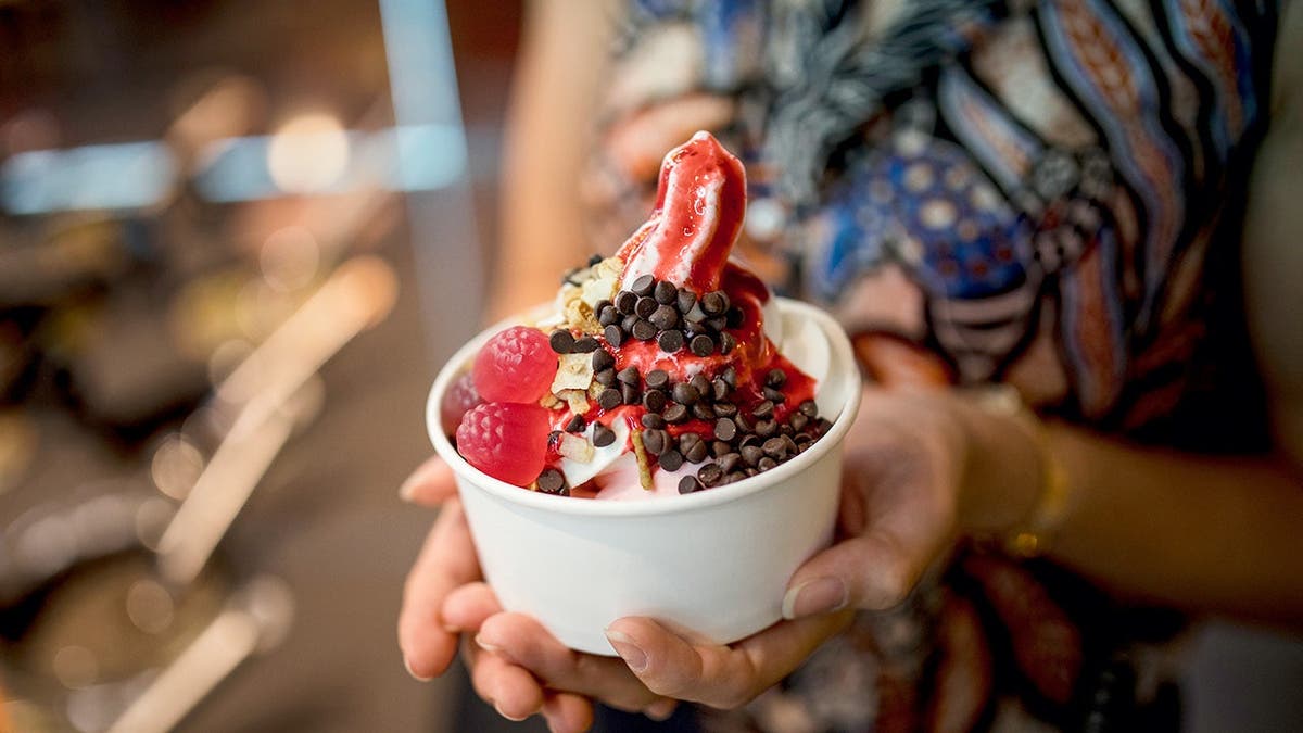 Frozen Yogurt’s Resurgence: Insights from 16 Handles CEO Neil Hershman