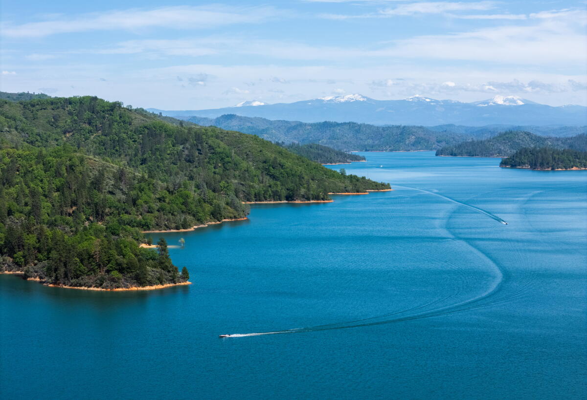 Man Drowns Attempting to Rescue Dog at Shasta Lake