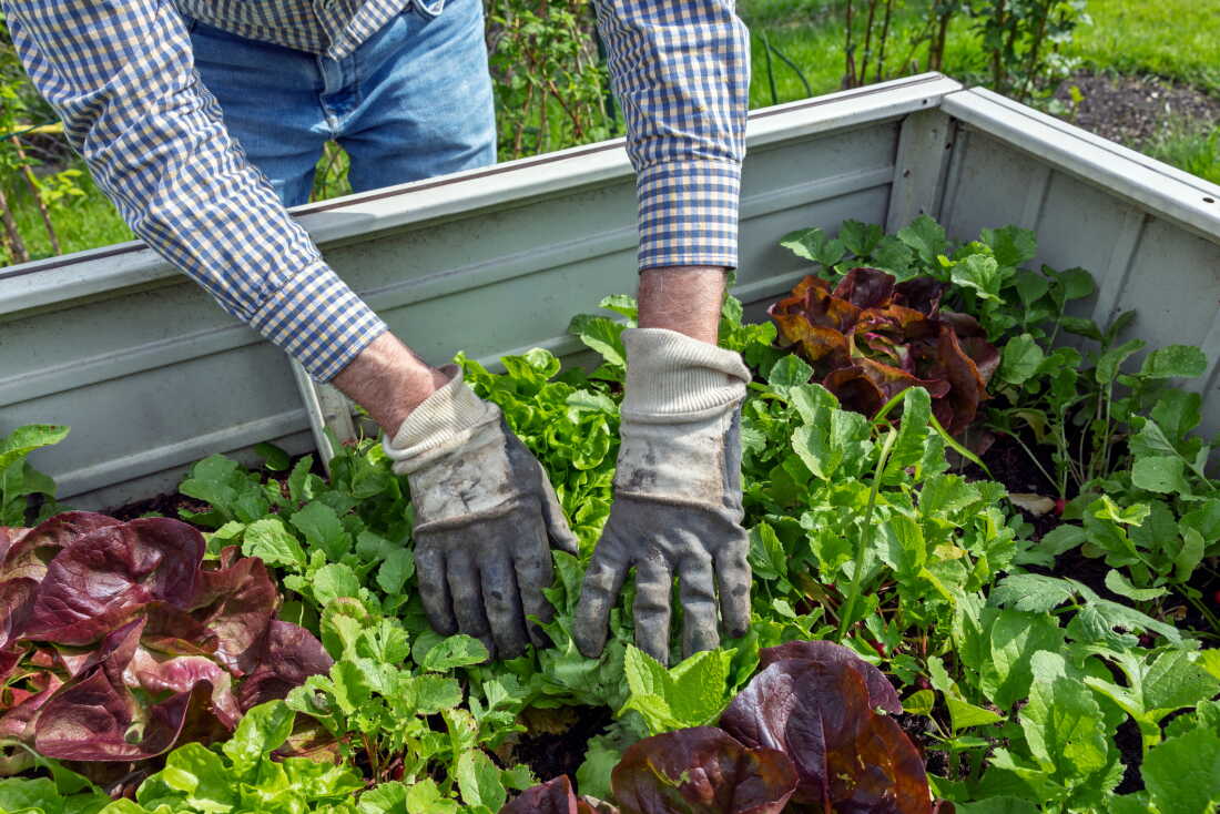 Ensuring Food Safety with Produce