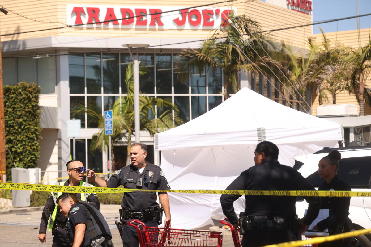 Tragic Car Accident in Los Angeles Trader Joe’s Parking Lot