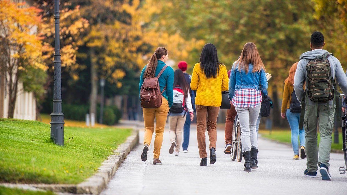 The Root of America’s Workforce Issues: Education’s Role
