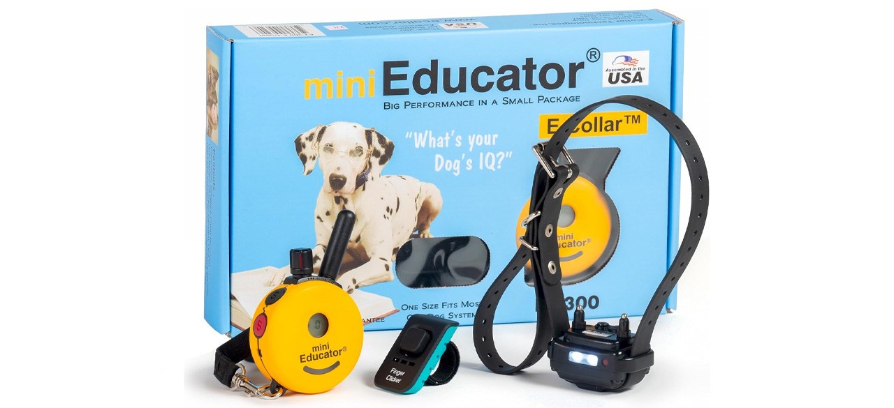The Best Bark Collars for Effective Dog Training