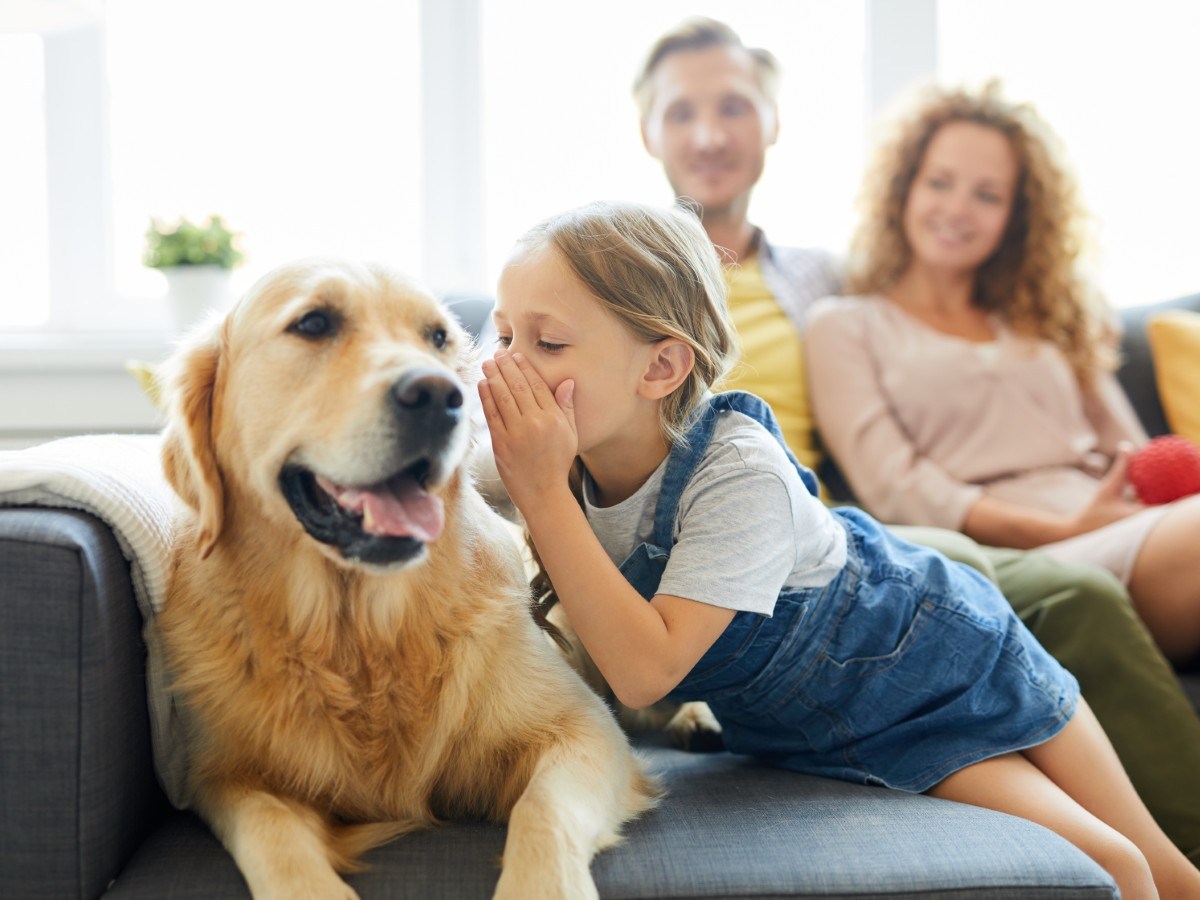 Exploring Human-Pet Interactions Through Speech Analysis
