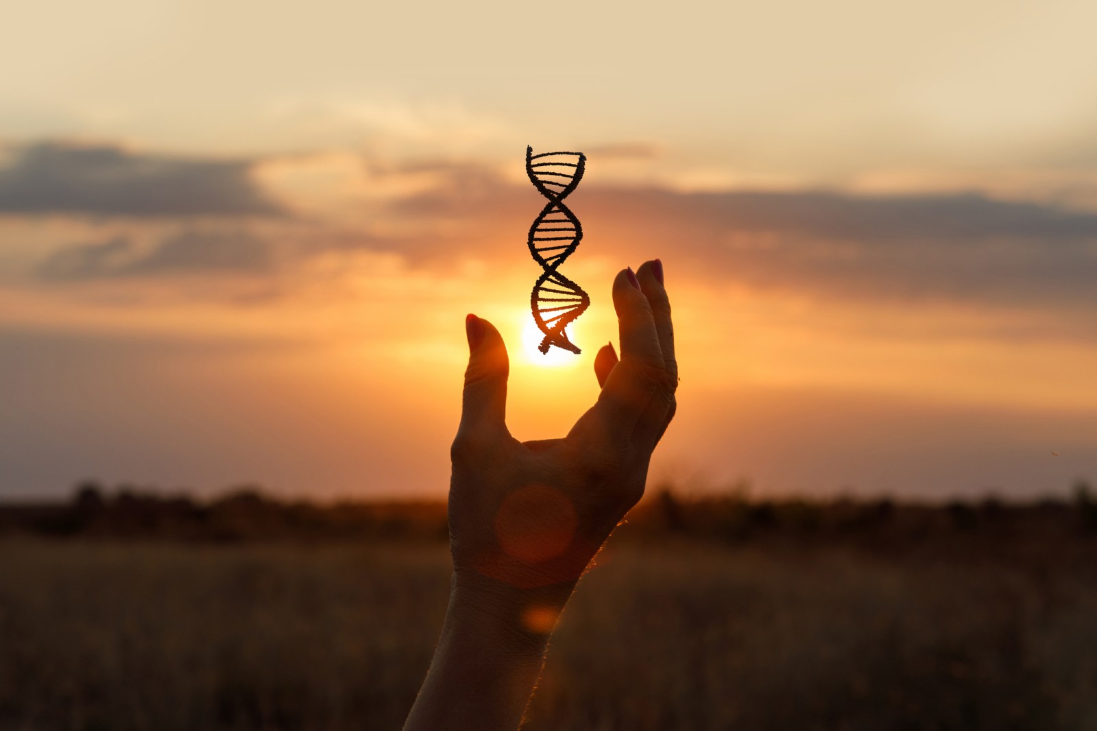 Impact of Personality on Health: Genetic Variants and Hospitalization