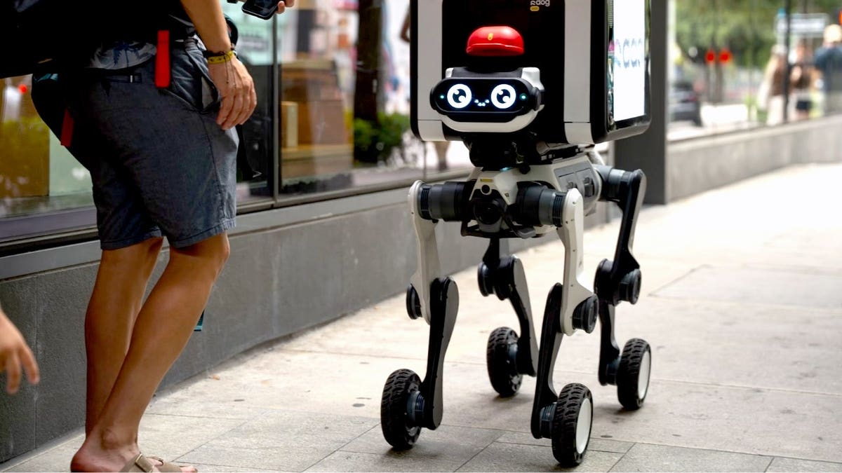 Robot.com’s Innovation: R-dog Revolutionizes Package Delivery