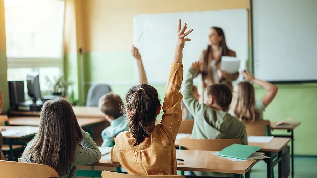 Success Academy Challenges New York State Education Department Over Data Release
