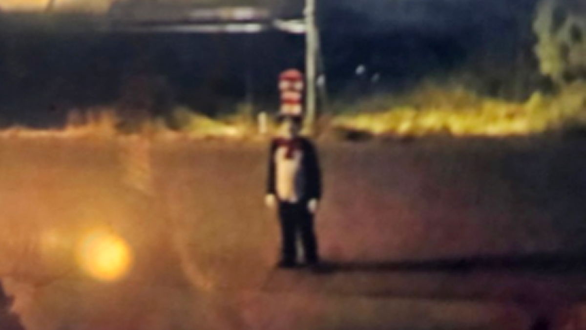 Investigations and Warnings Following Cat in the Hat Incidents