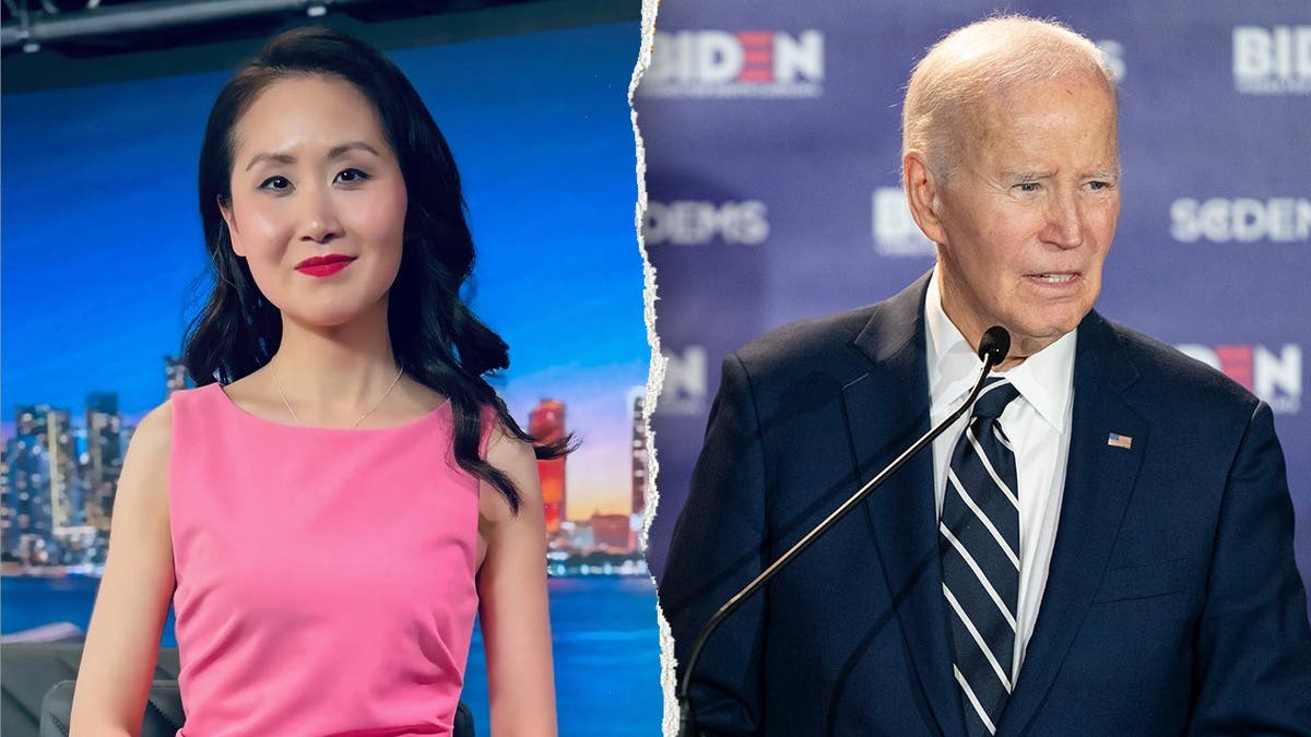 Lindy Li Criticizes Democratic Leadership Amid DSA’s Rise