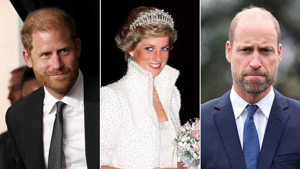 Prince Harry’s Diana Film Sparks Royal Tension