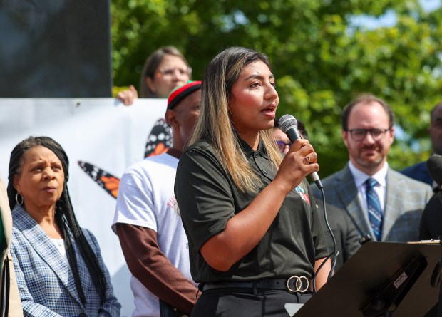 Funding Dispute for Immigration Services in Will County