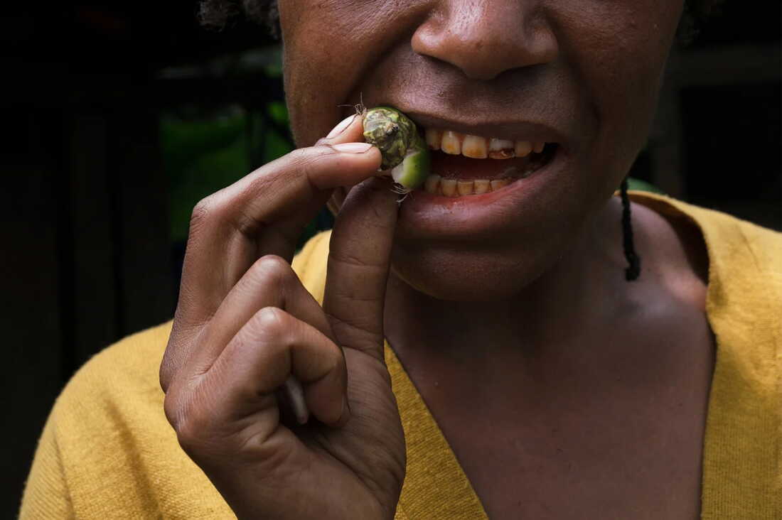 Ancient Love of Betel Nuts Revealed Through Study of Teeth