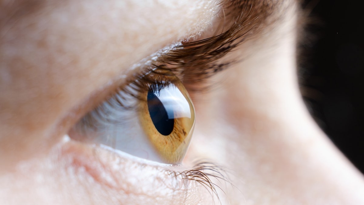 Vision Loss Concerns Linked to Popular GLP-1 Medications