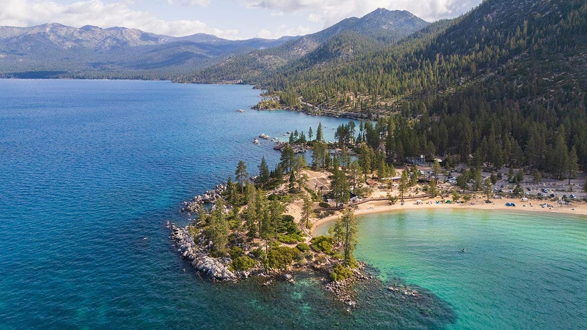 Unexpected Otter Encounter in Lake Tahoe