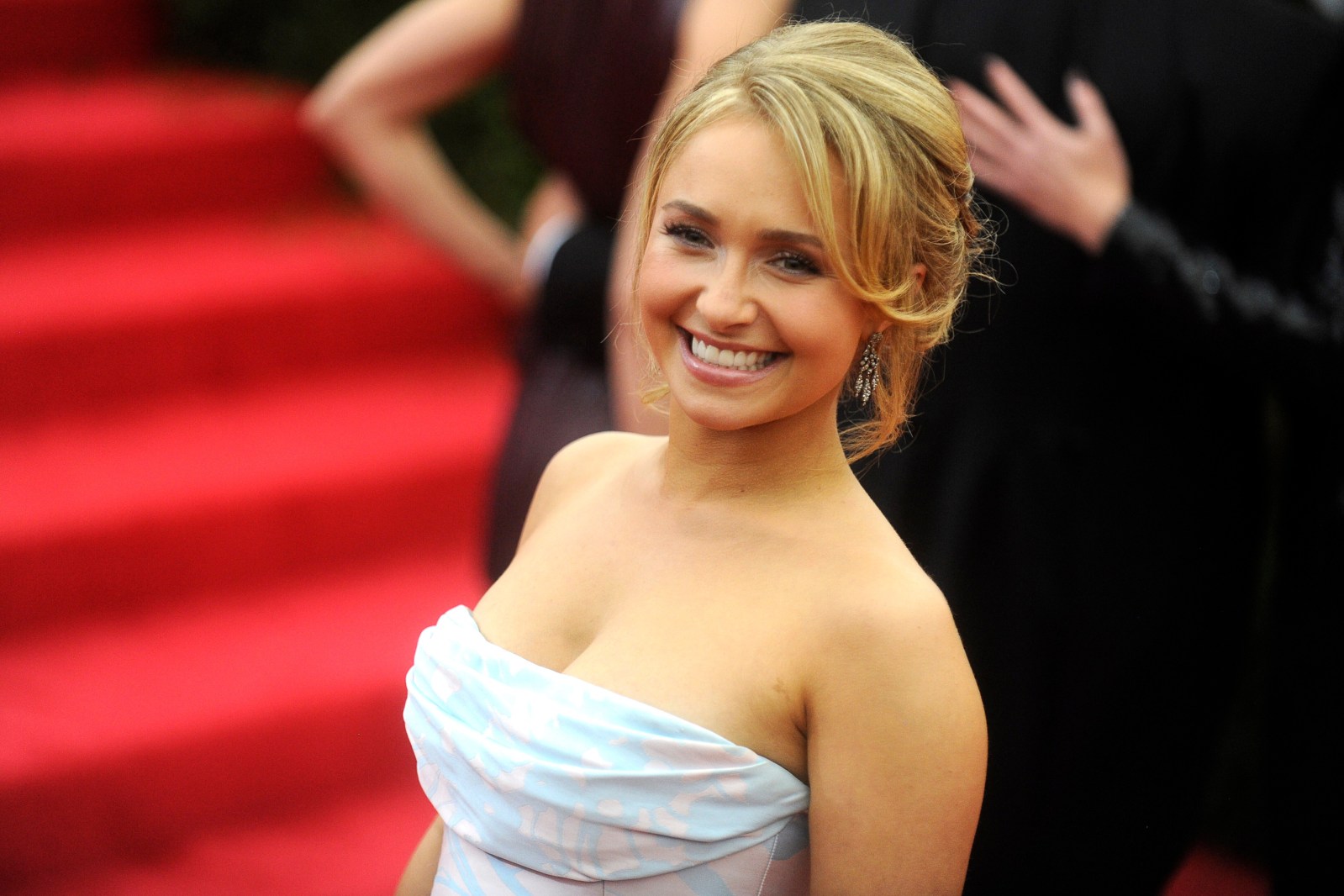 Altercation Involving Brian Hickerson and Death Investigation of Hayden Panettiere