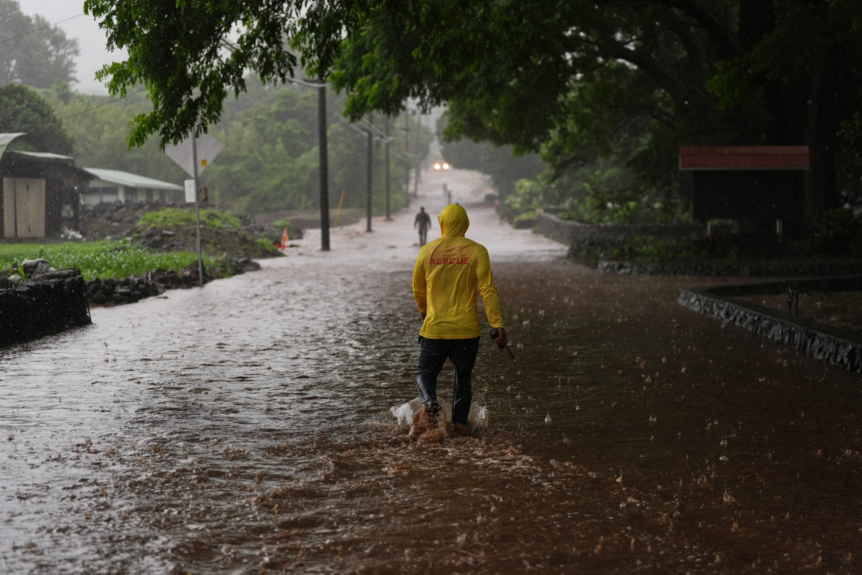 Hurricanes Polo and Nolo Impact North America and Hawaii