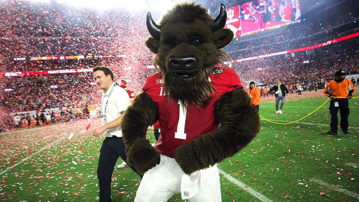 Indiana Hoosiers’ Mascot Bison Steals the Show