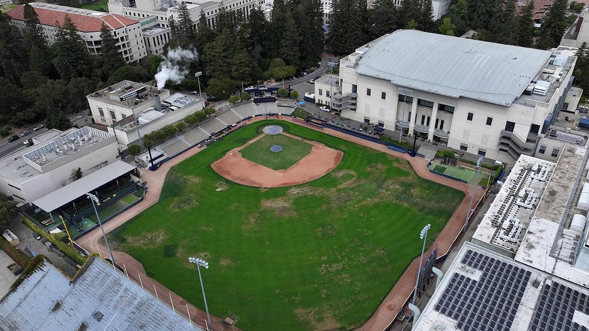 Former UC Berkeley Player Files Lawsuit Against Ex-Softball Coach