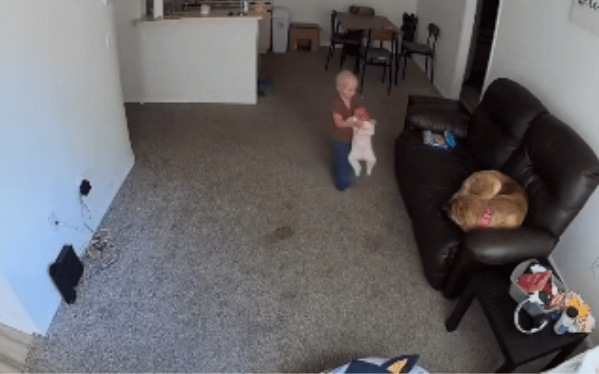The Unexpected Adventures of a 3-Week-Old Baby