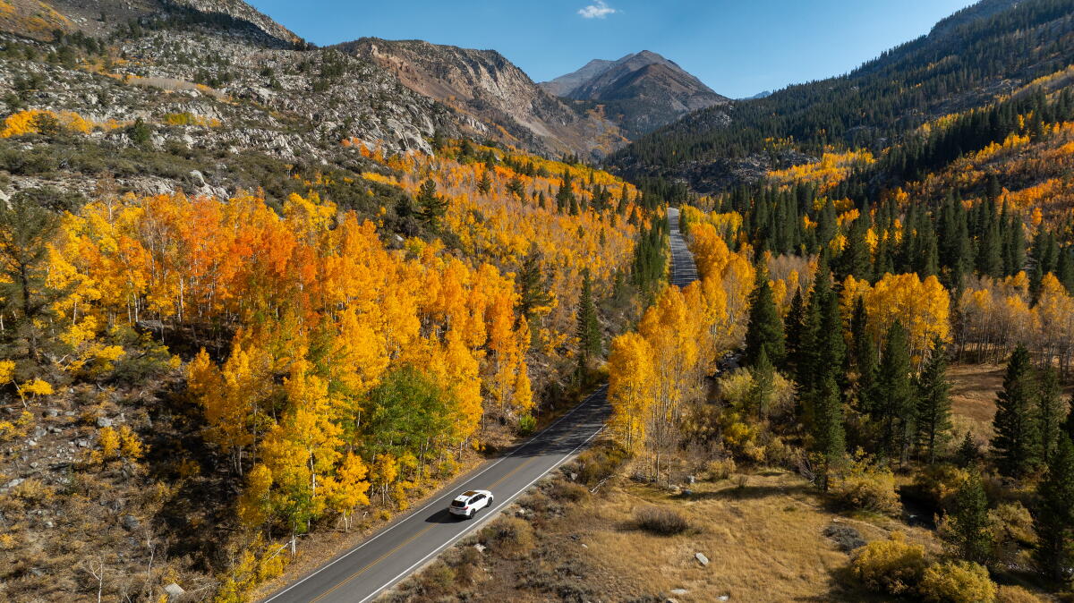Exploring Fall and Entertainment in California