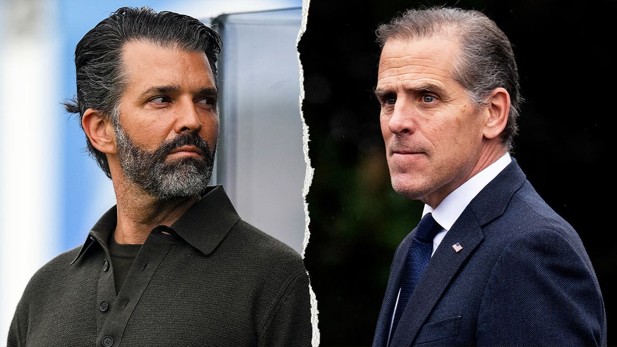 Senator Calls for Investigation into Alleged Foreign Dealings of Donald Trump Jr. and Hunter Biden