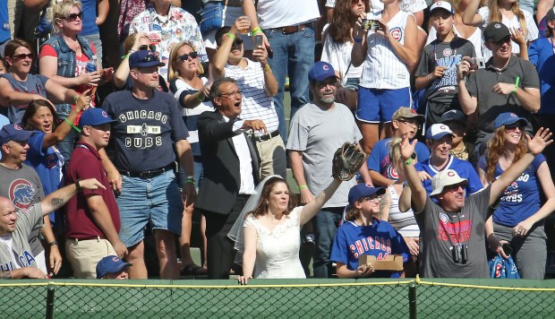 Cubs Announce TikTok Series ‘Nine Innings to Love’