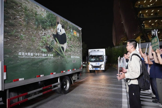 Arrival of Giant Pandas Marks New Chapter for Zoo Atlanta
