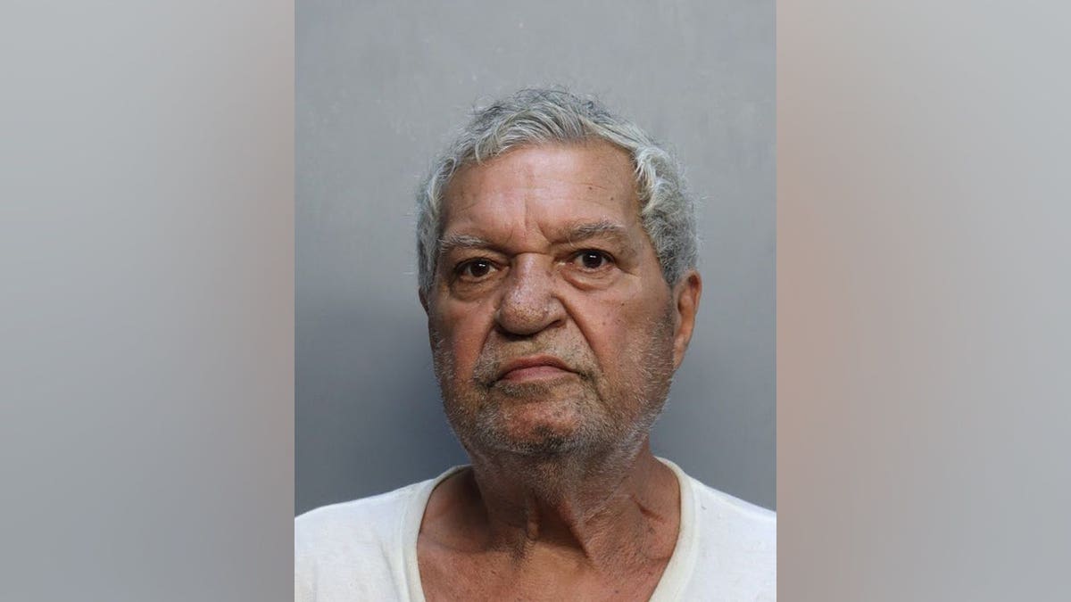 Illegal Immigrants Arrested for Drug Trafficking and Firearm Offenses