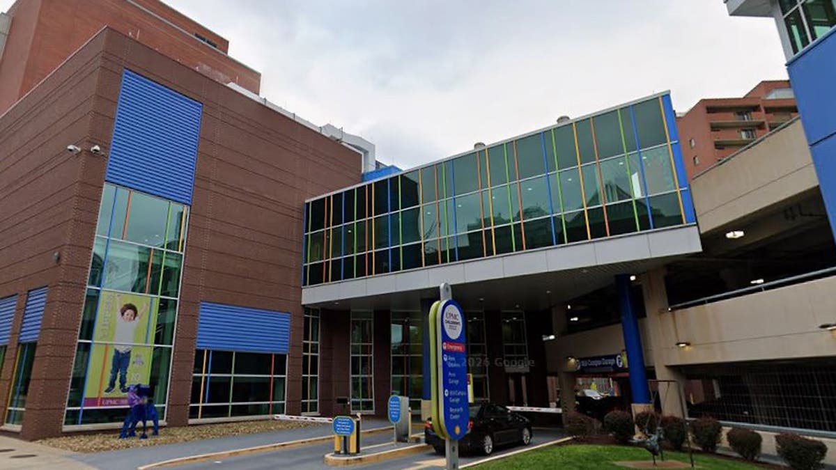 Tragedy Strikes as Pittsburgh Doctor Fatally Stabbed
