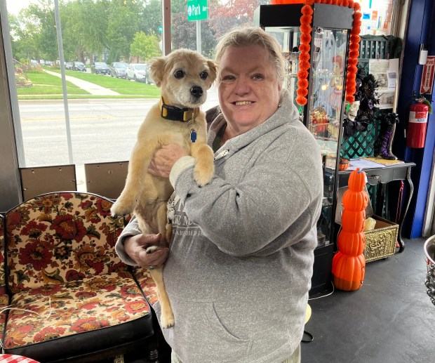 Reopening of Antique Mall Brings Vendors Together