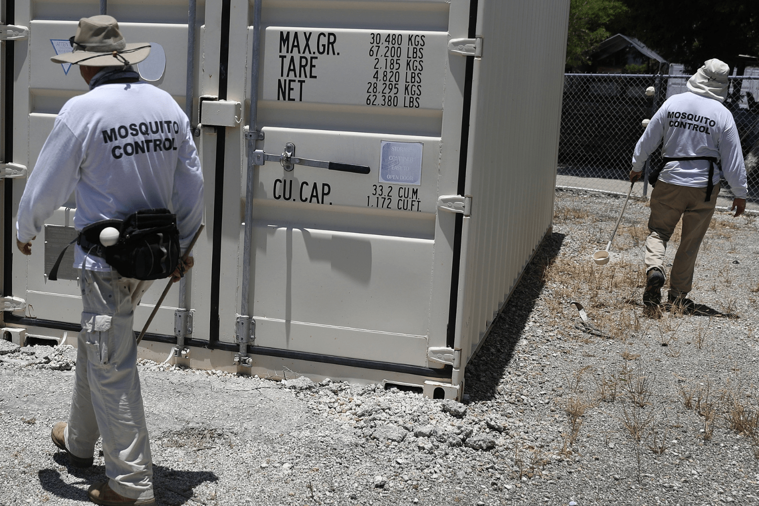 Dengue Fever Claims First Life in Florida in 2026 Amid Growing Outbreak