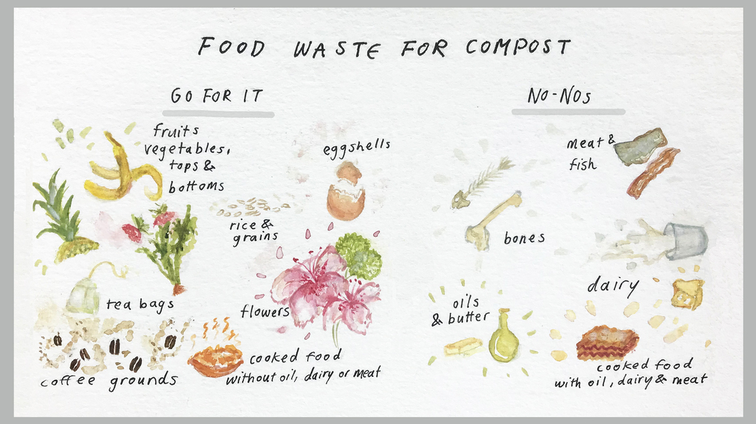 Composting Guide to Reduce Food Waste and Help the Climate